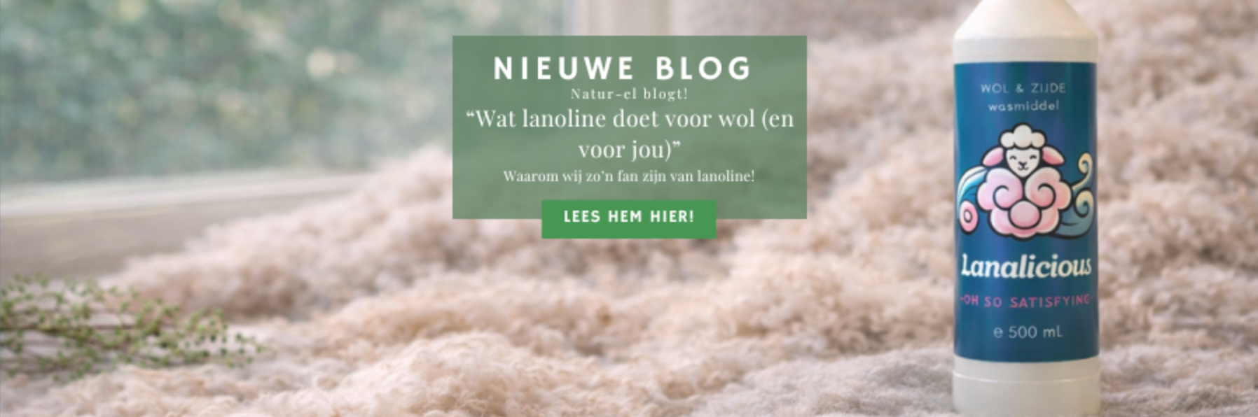 Lanoline in wol uitgelegd – waarom wolvet zo belangrijk is voor je wollen kleding | Natur-el