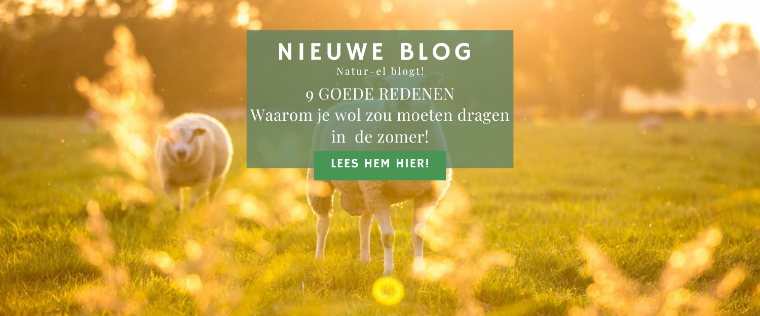 Wollen ondergoed in de zomer – biologische merinowol van Natur-el