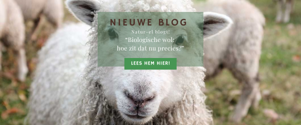 Biologische wol keurmerken uitgelegd – GOTS, IVN BEST, KbT en RWS vergeleken door Natur-el