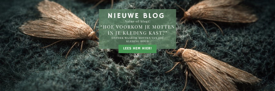 Motten in de kledingkast voorkomen – tips voor wollen kleding van Natur-el