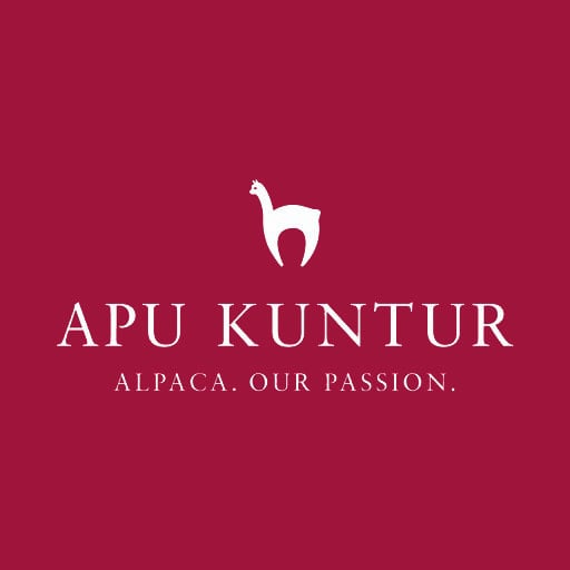 Apu Kuntur