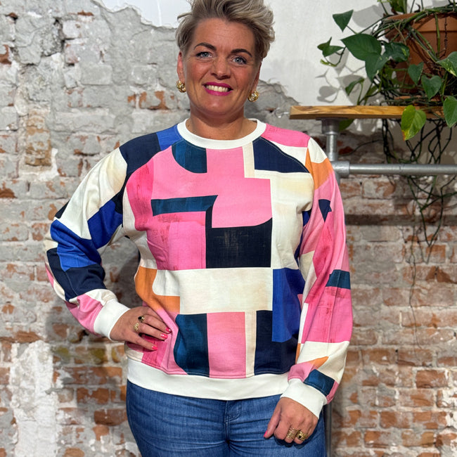 DEDICATED sweater RHINA BLOCKS van biologisch katoen