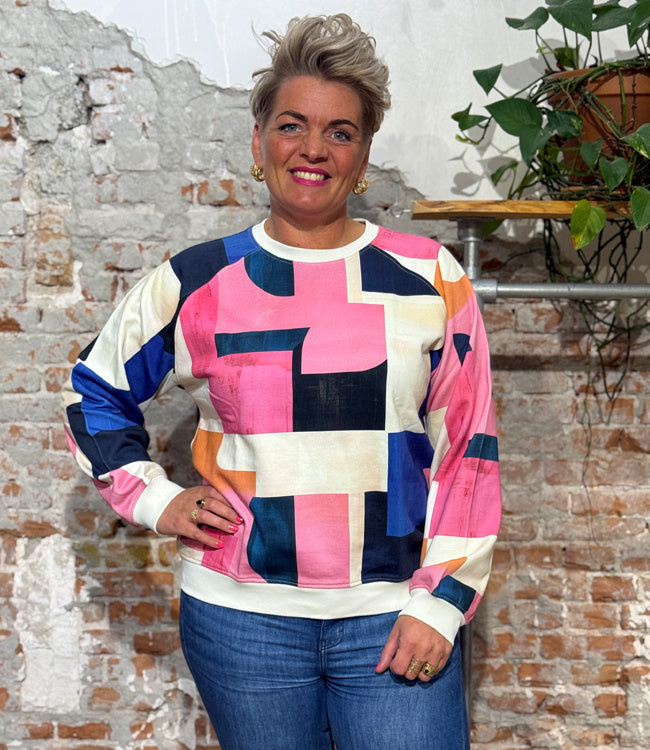 DEDICATED sweater RHINA BLOCKS van biologisch katoen