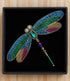 FAIRTRADE broche LIBELLE met pailetten en kralen