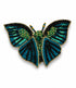 FAIRTRADE broche VLINDER PETROL met pailetten en kralen