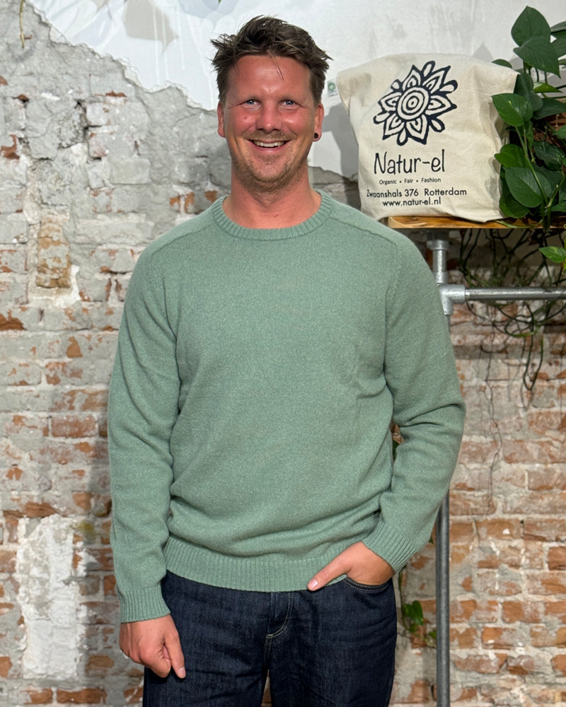 Wollen trui RUUD LILYPAD 100% biologische lamswol KCA