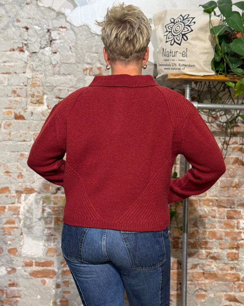 KOMODO wool sweater SAMI WINE with collar 100% lambswool