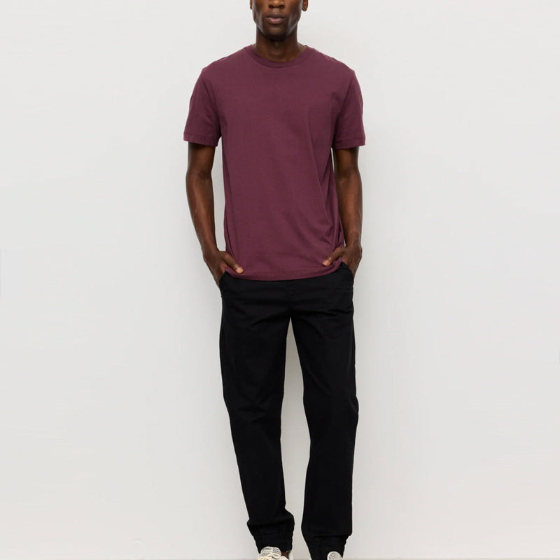 RECOLUTION basic heren shirt AGAVE PLUM biologisch katoen