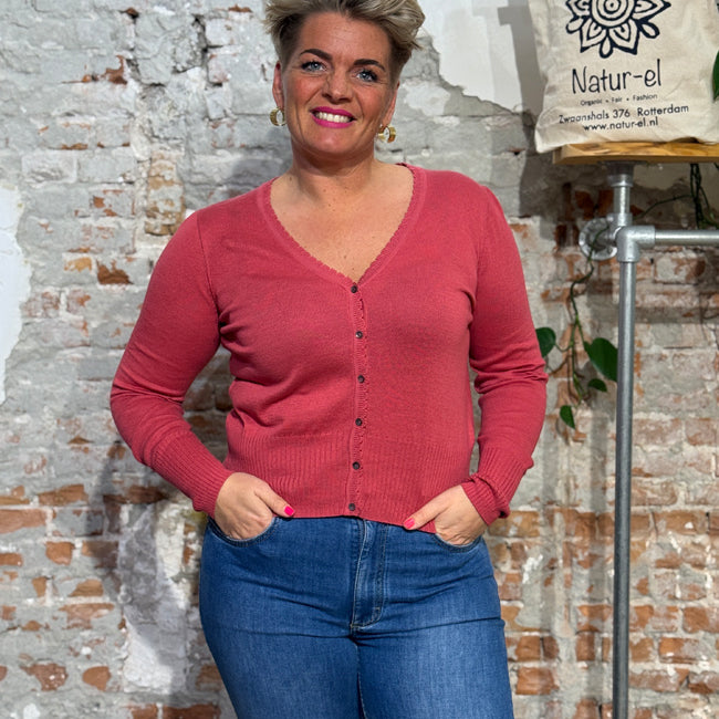 TRANQUILLO v-hals vest LINA BERRY biologisch katoen