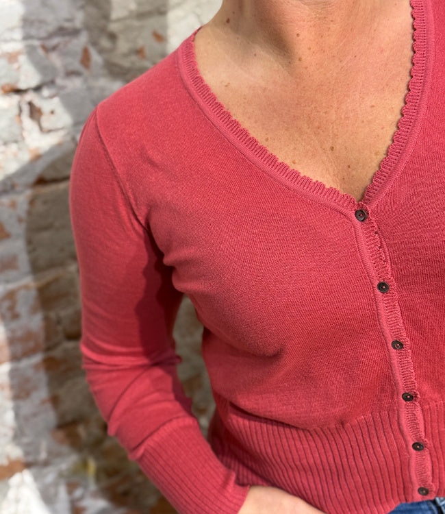 TRANQUILLO v-hals vest LINA BERRY biologisch katoen